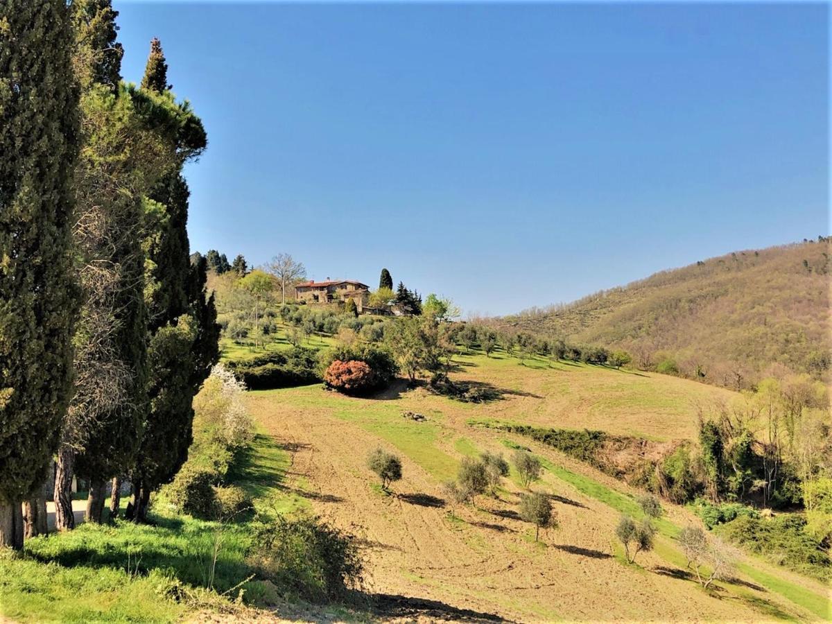 Agriturismo La Sala Greve in Chianti Exteriör bild